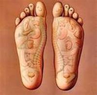 Detox-Through-the-Feet Refloxology chart reminds us that every gland and organ is represented ...